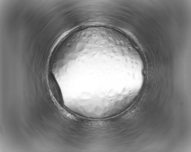 X0000056030949200509092201