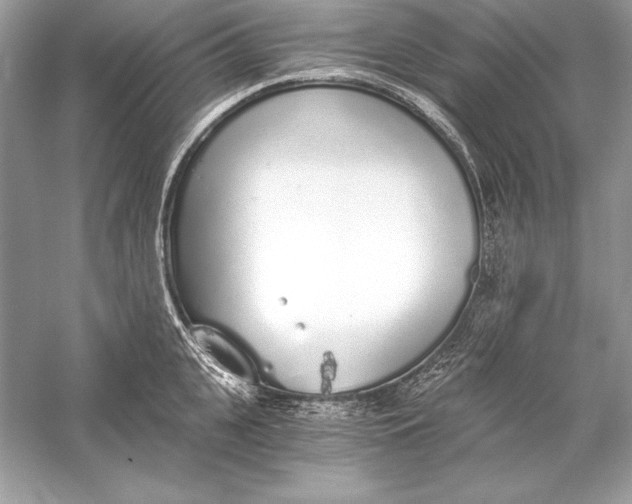 X0000056030951200509092201