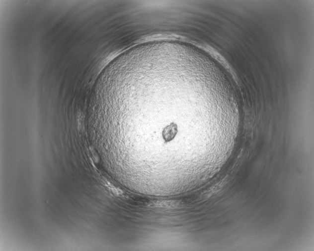 X0000056030953200509092201