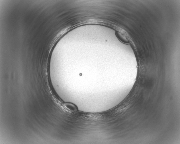 X0000056030954200509092202