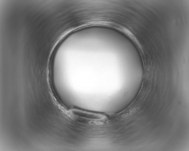 X0000056030955200509092202