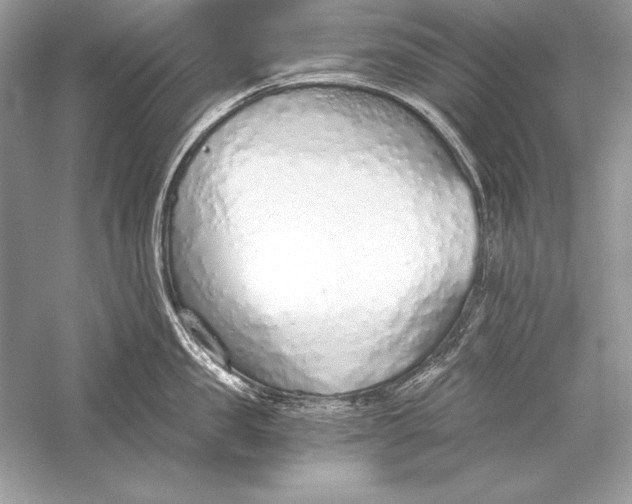 X0000056030957200509092202