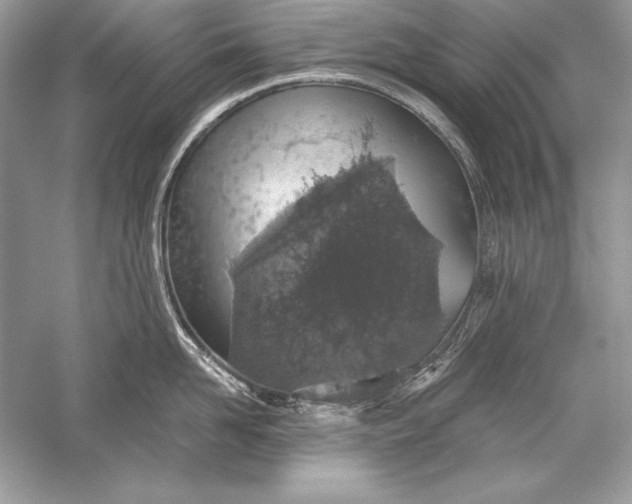 X0000056030958200509092202