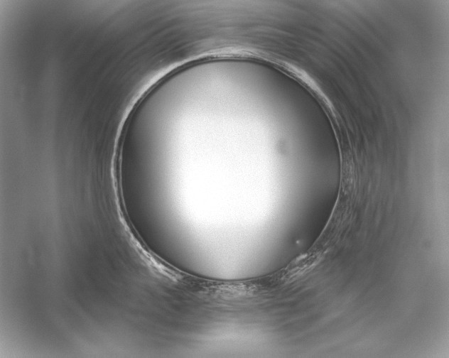 X0000056030959200509092202