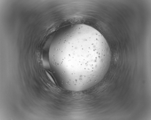 X0000056030964200509092201