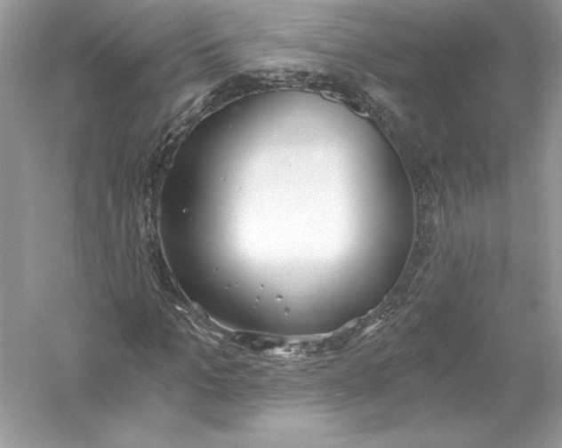 X0000056030965200509092201