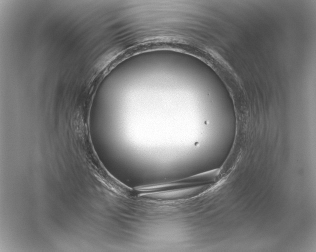 X0000056030969200509092201