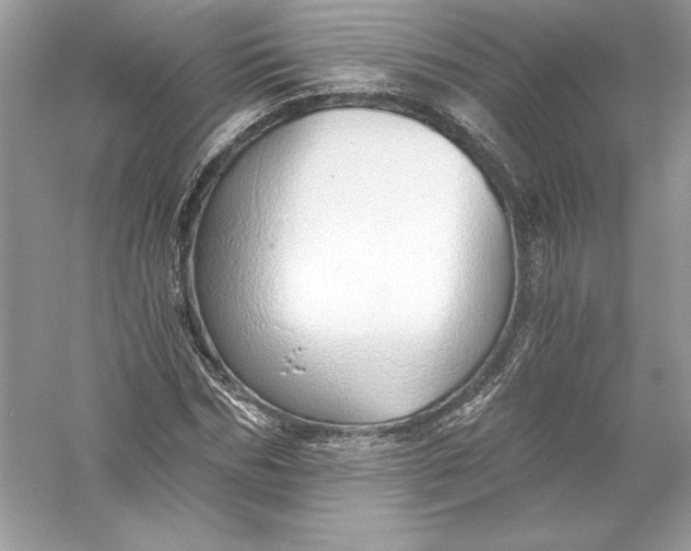 X0000056030970200509092201