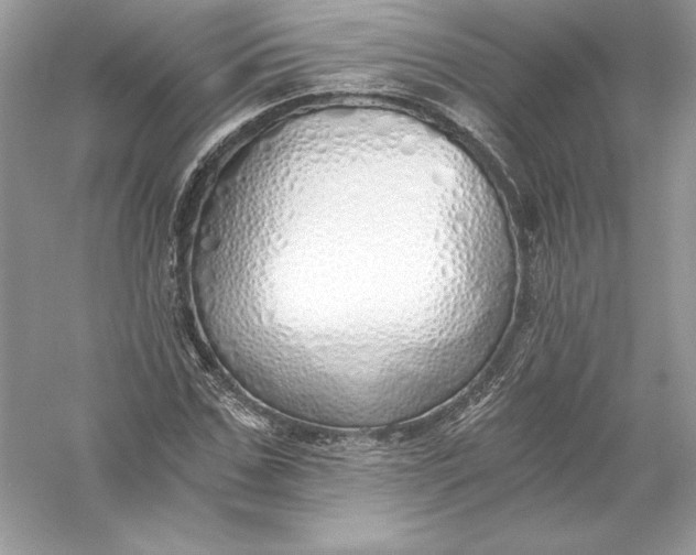 X0000056030971200509092201