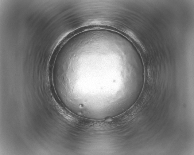 X0000056030972200509092201