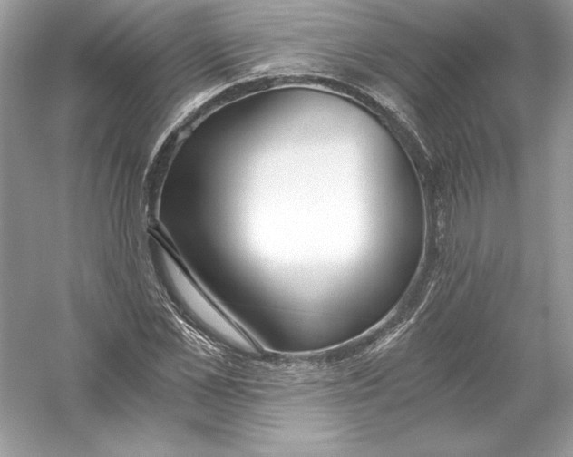 X0000056030973200509092201