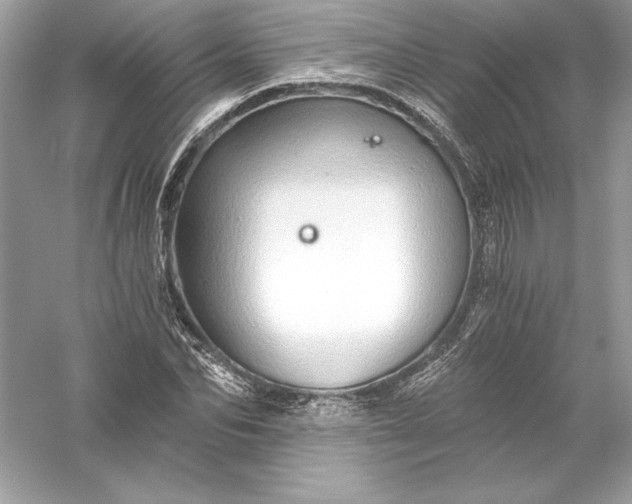 X0000056030974200509092201