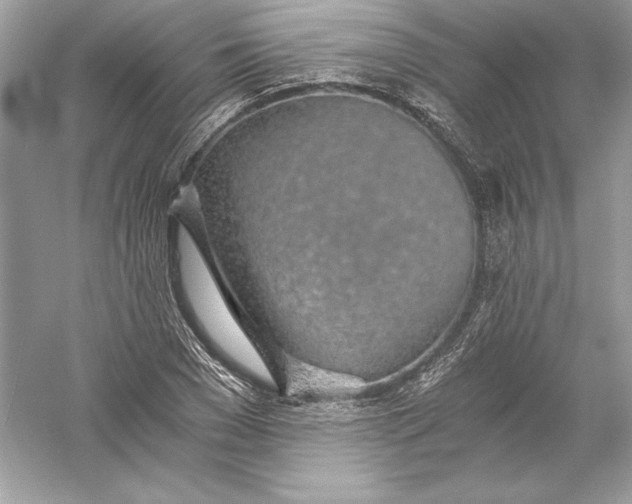 X0000056030977200509092201