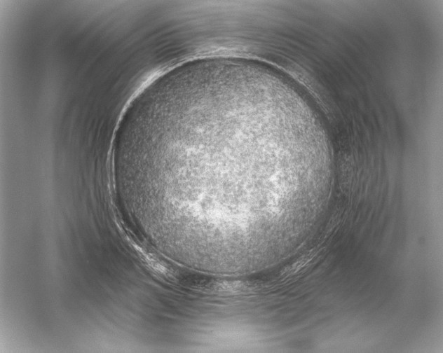 X0000056030982200509092200