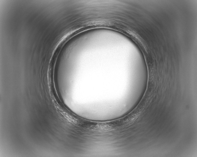 X0000056030983200509092200