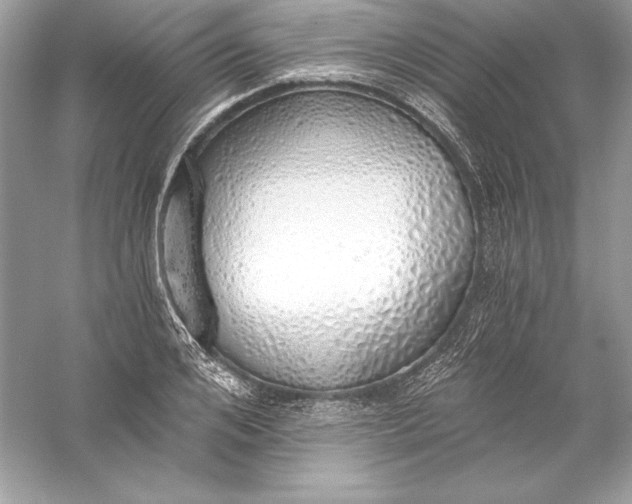 X0000056030984200509092200