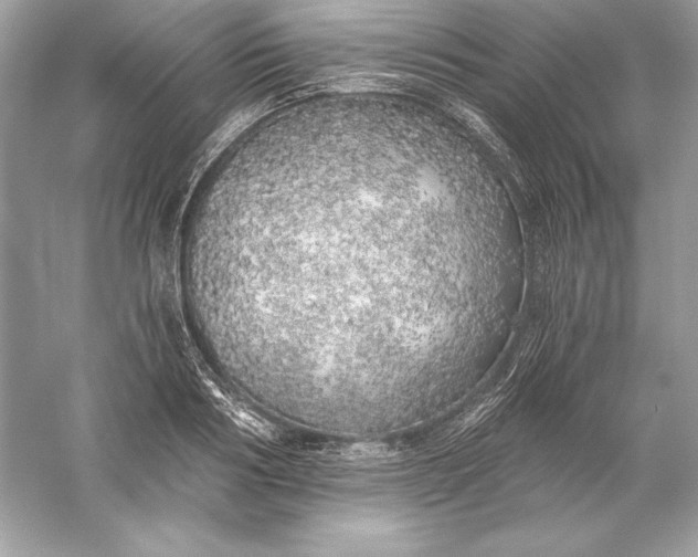 X0000056030986200509092200