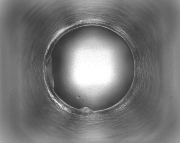 X0000056030989200509092200