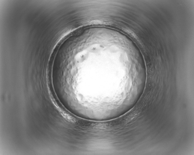 X0000056030991200509092200