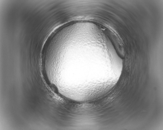 X0000056030992200509092200