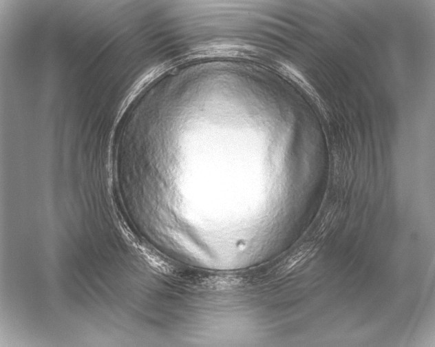 X0000056030994200509092200