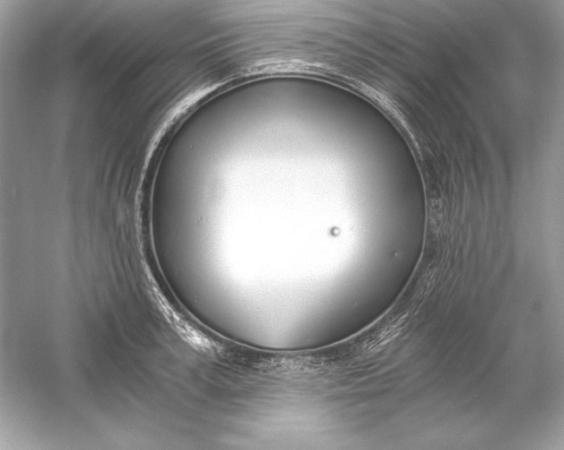 X0000056030995200509092200