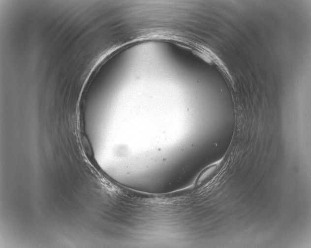 X0000056030996200509092200