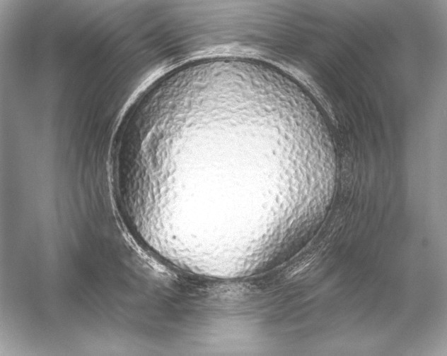 X0000056030998200509092200