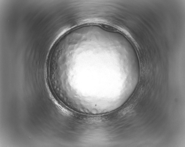 X0000056030999200509092200