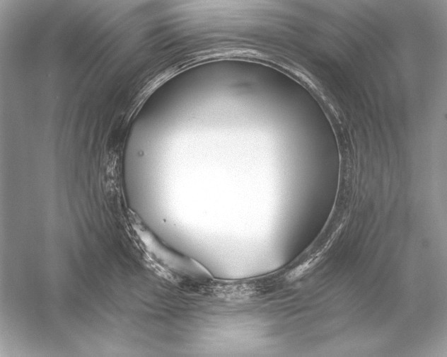 X0000056031001200509092200