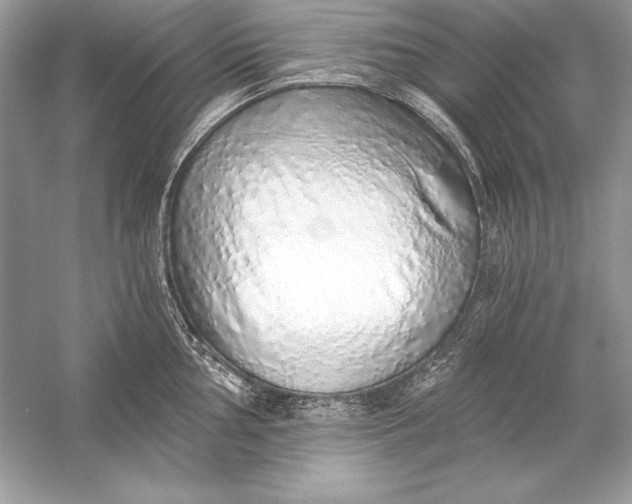 X0000056031002200509092200