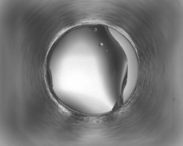 X0000056031005200509092200