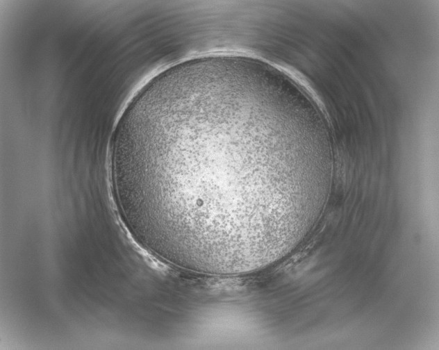 X0000056031006200509092200