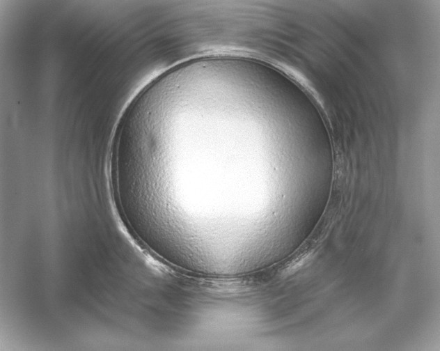 X0000056031007200509092200