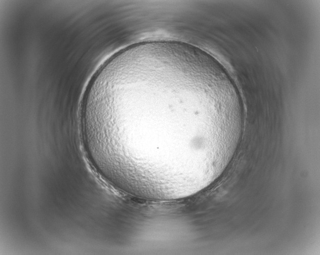 X0000056031008200509092200