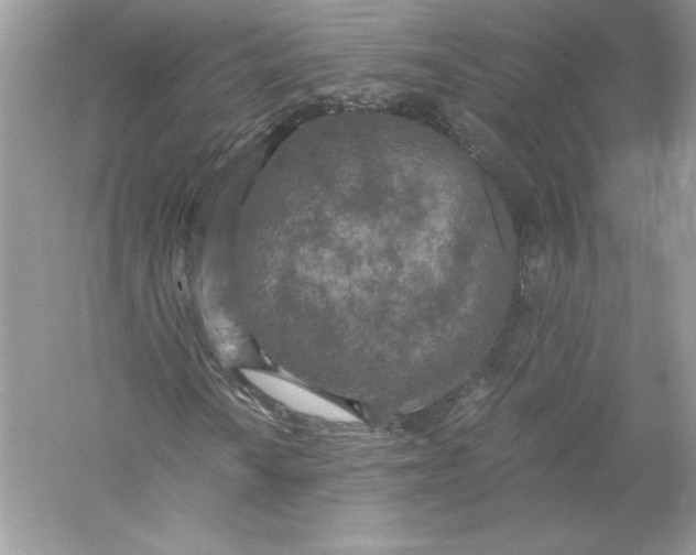 X0000056031010200509092159