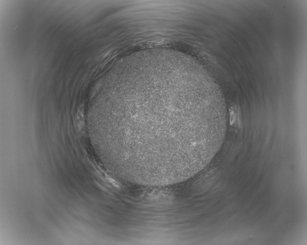 X0000056031011200509092159