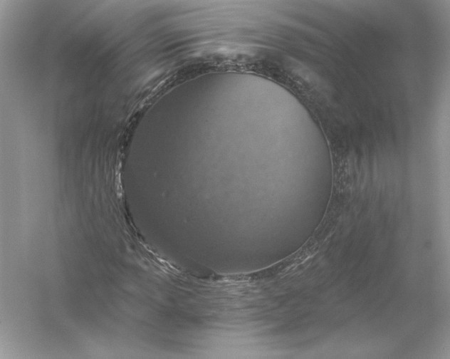 X0000056031013200509092159