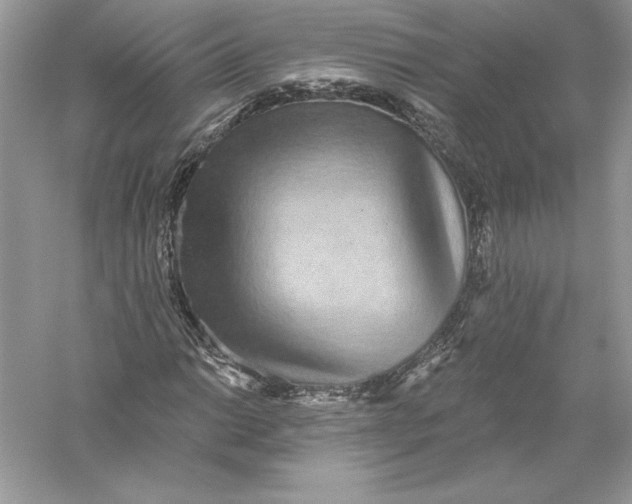 X0000056031014200509092159