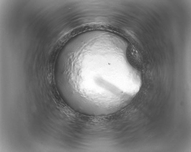 X0000056031015200509092159