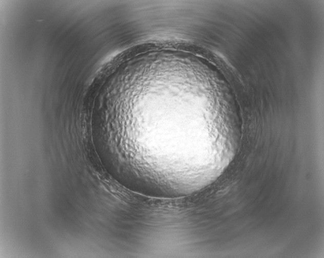 X0000056031016200509092159