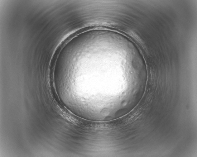 X0000056031020200509092159