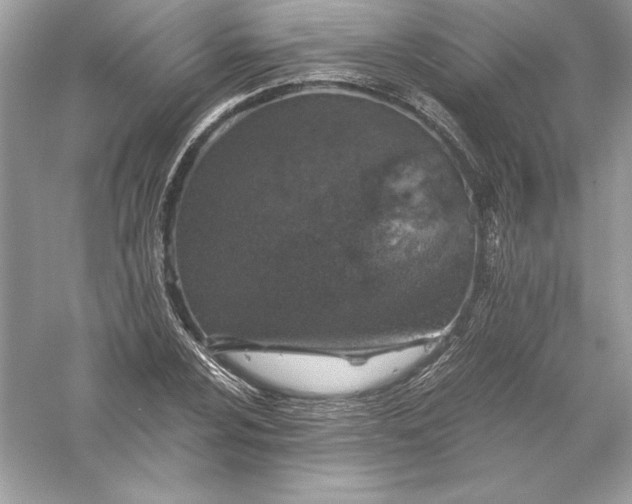 X0000056031024200509092159