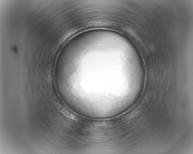 X0000056031025200509092159