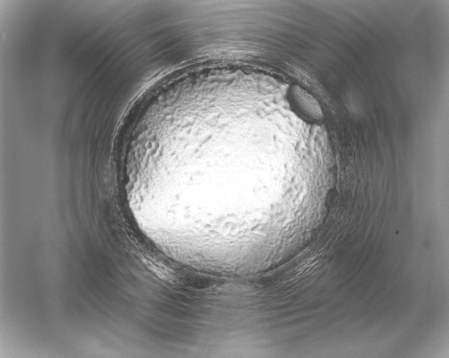 X0000056031027200509092159