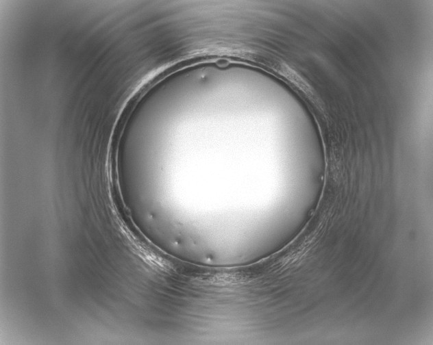 X0000056031028200509092159