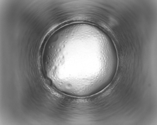 X0000056031029200509092200