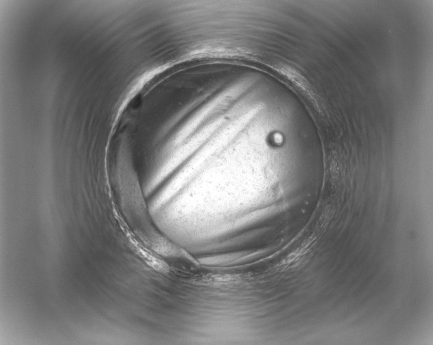 X0000056031030200509092200