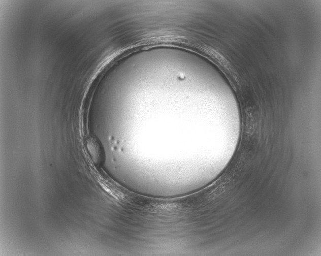 X0000056031031200509092200