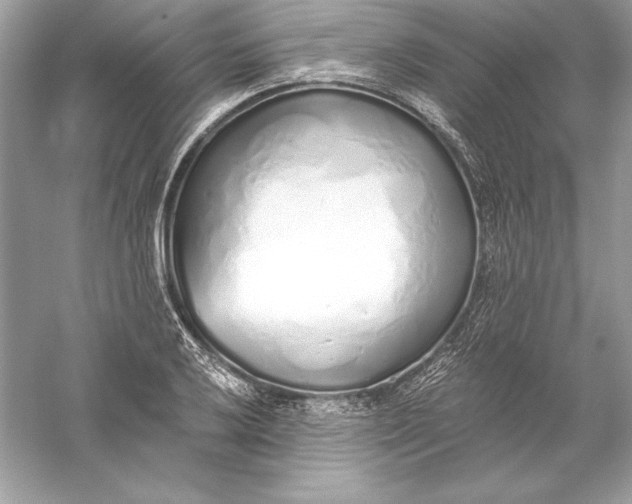 X0000056031032200509092200